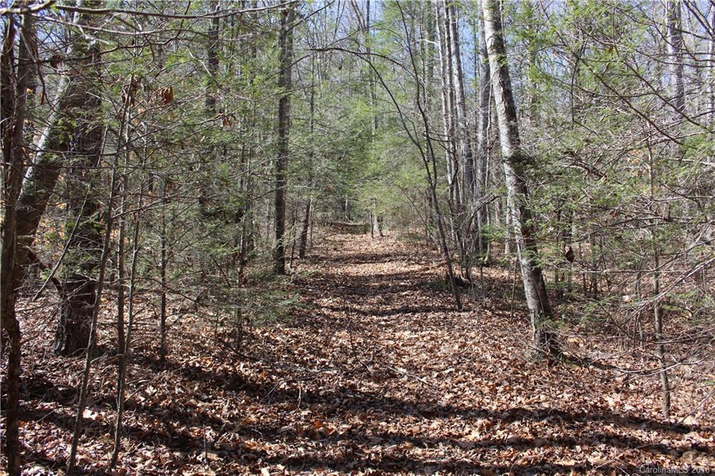 0 Bear Farm Road Candler, NC 28715 - Photo 21 of 24 Gallery Image 21