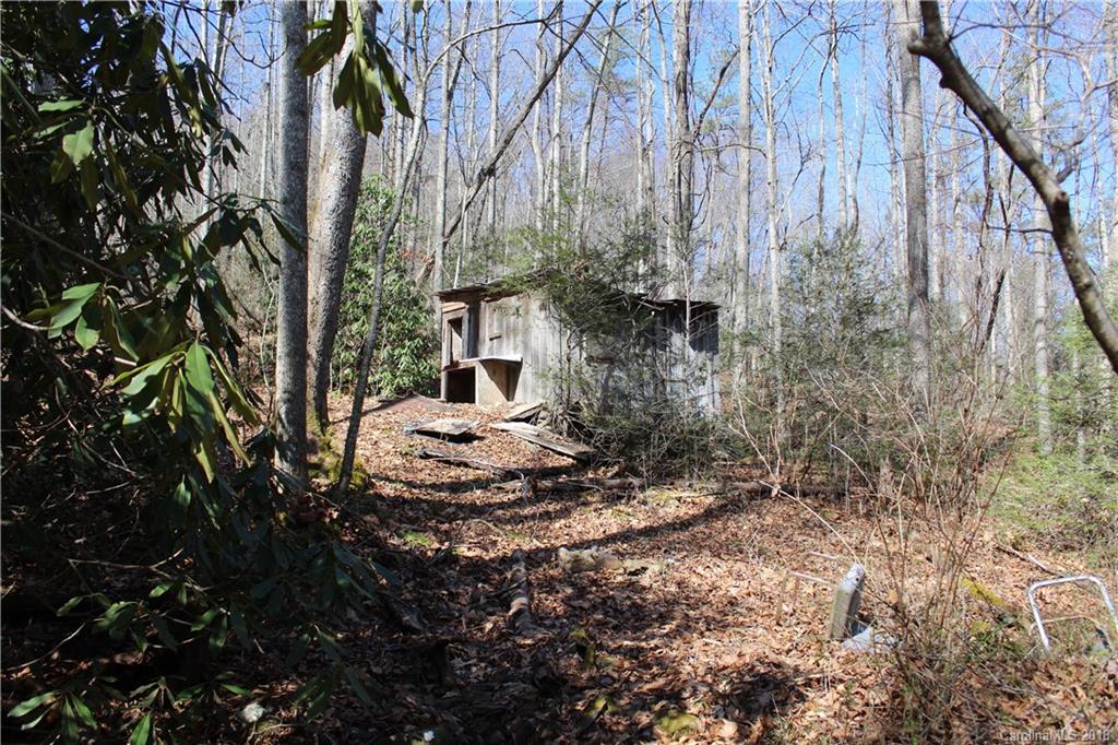 0 Bear Farm Road Candler, NC 28715 - Photo 22 of 24 Gallery Image 22