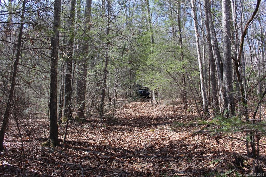 0 Bear Farm Road Candler, NC 28715 - Photo 23 of 24 Gallery Image 23