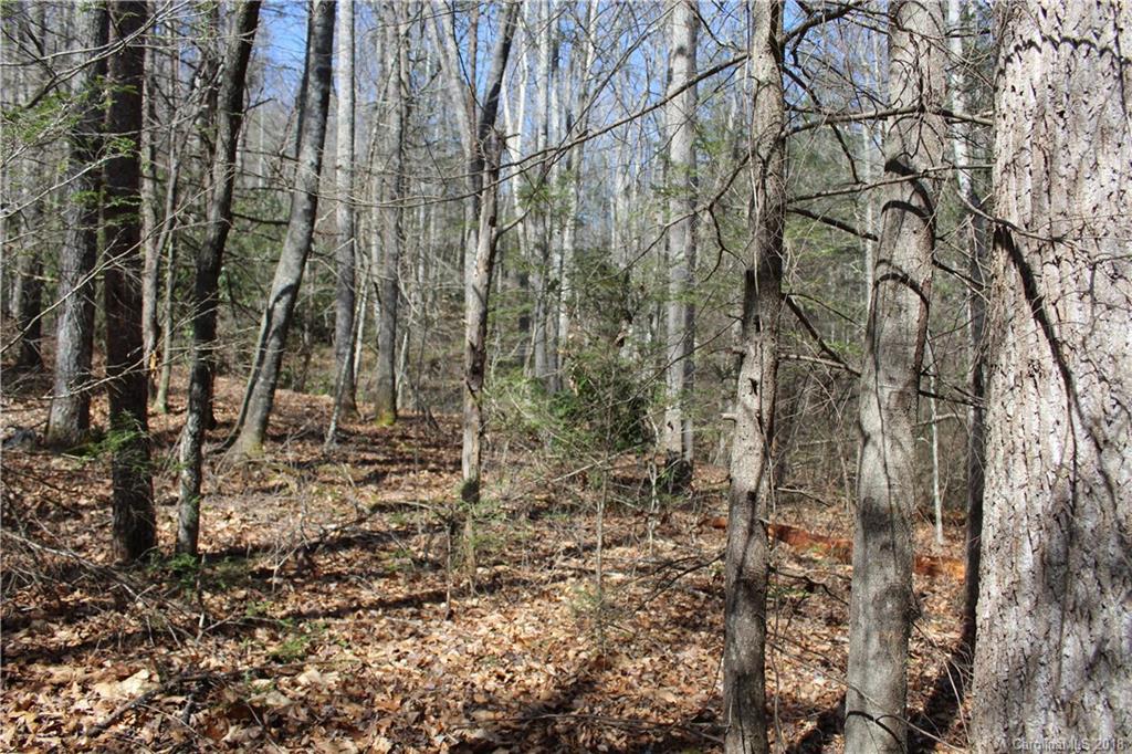 0 Bear Farm Road Candler, NC 28715 - Photo 24 of 24 Gallery Image 24