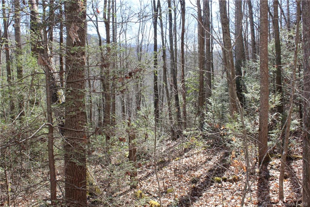 0 Bear Farm Road Candler, NC 28715 - Photo 4 of 24 Gallery Image 4