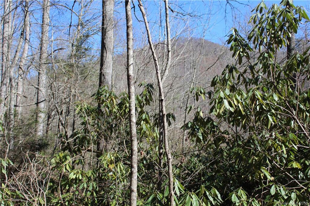 0 Bear Farm Road Candler, NC 28715 - Photo 7 of 24 Gallery Image 7