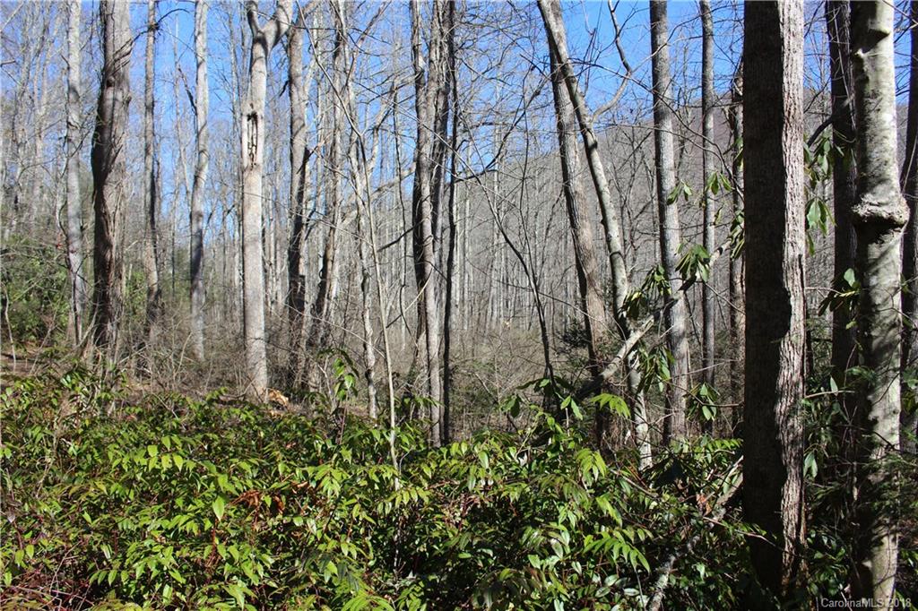 0 Bear Farm Road Candler, NC 28715 - Photo 8 of 24 Gallery Image 8