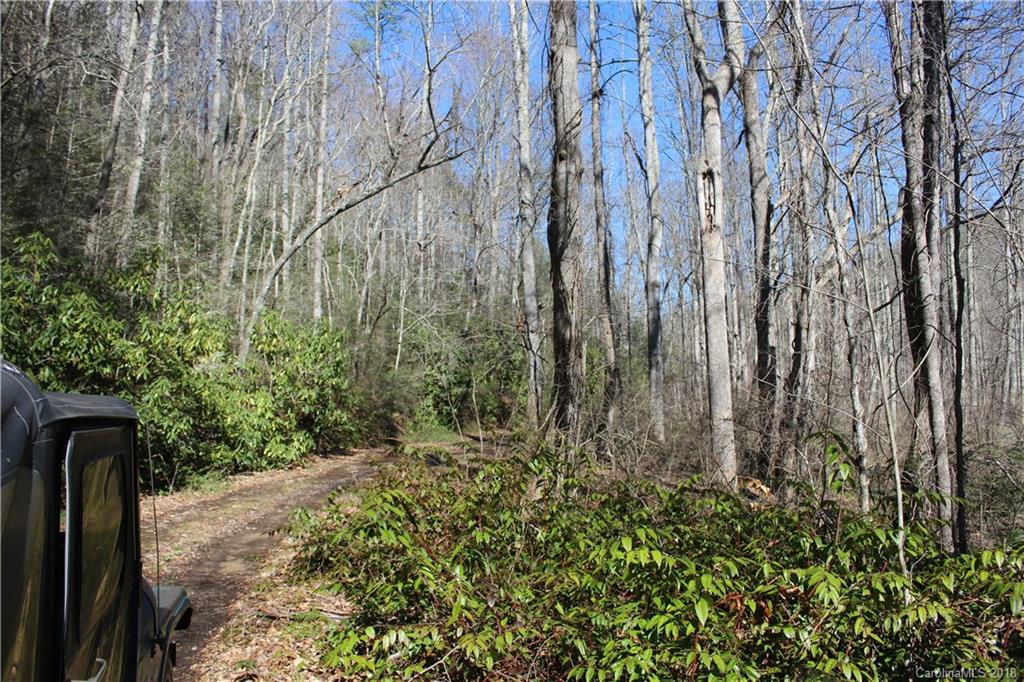 0 Bear Farm Road Candler, NC 28715 - Photo 9 of 24 Gallery Image 9