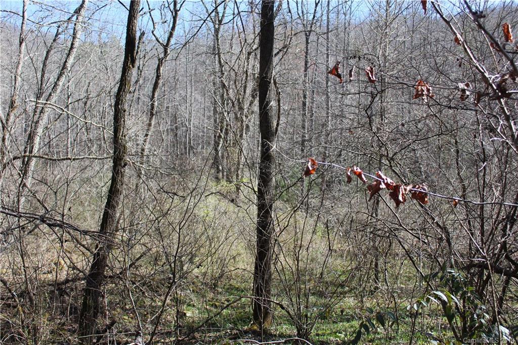 0 Bear Farm Road Candler, NC 28715 - Photo 10 of 24 Gallery Image 10