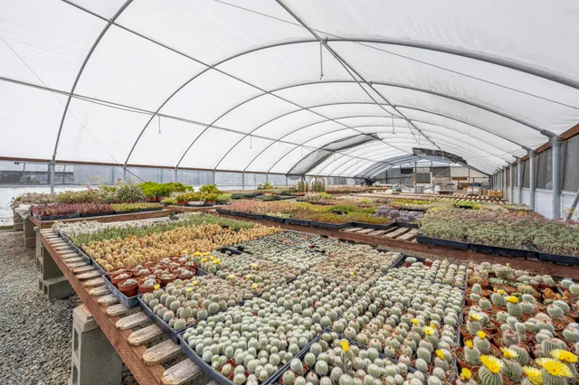 $549,000 | 1047 Buena Vista Drive, Vista, CA 92081