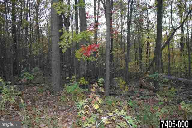 3 Rockville Rd Spring Grove Pa Spring Grove, PA 17362 - Photo 1 of 1