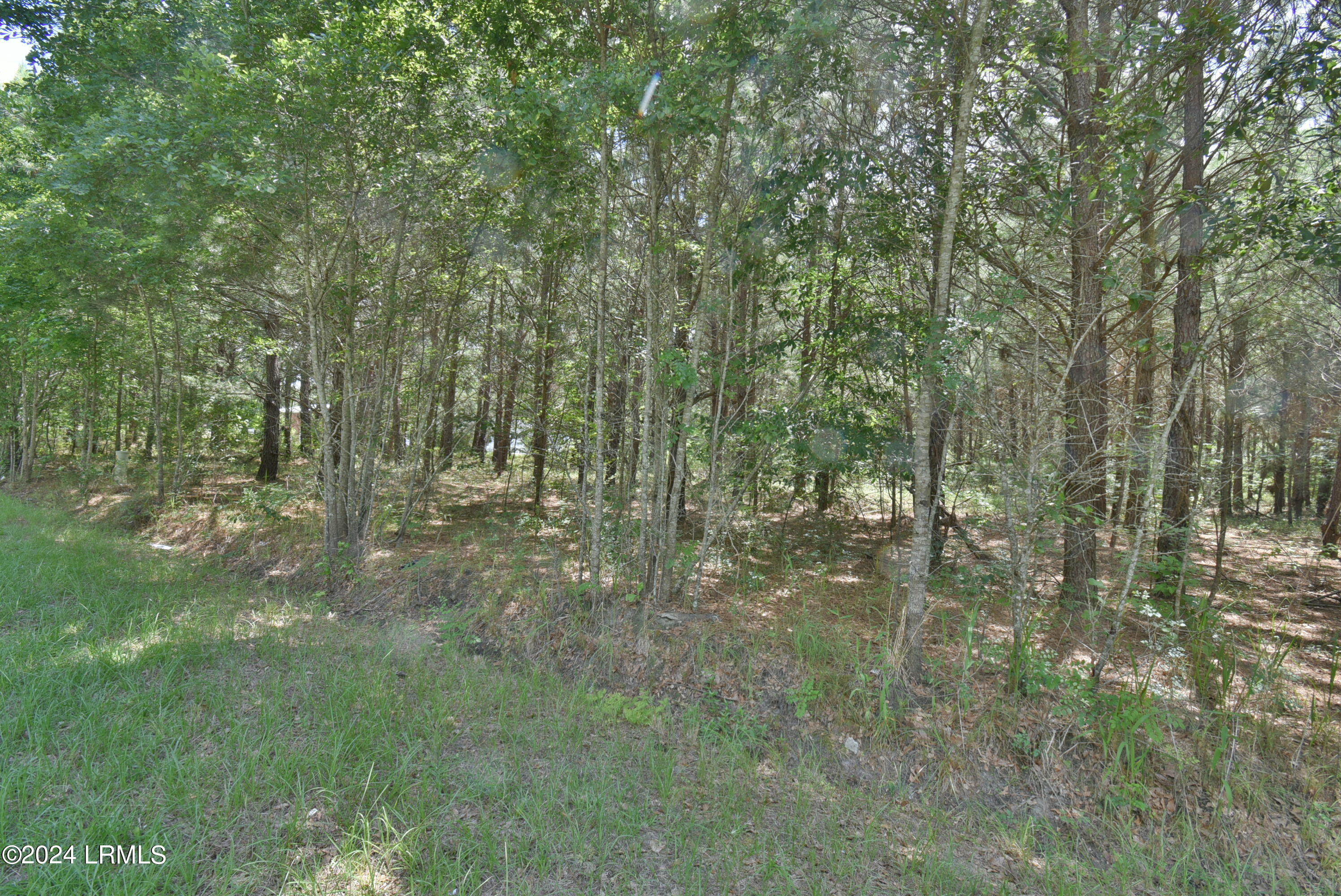 0 Infinger Rd Street St. George, SC 29477 - Photo 3 of 7 DSC_0640