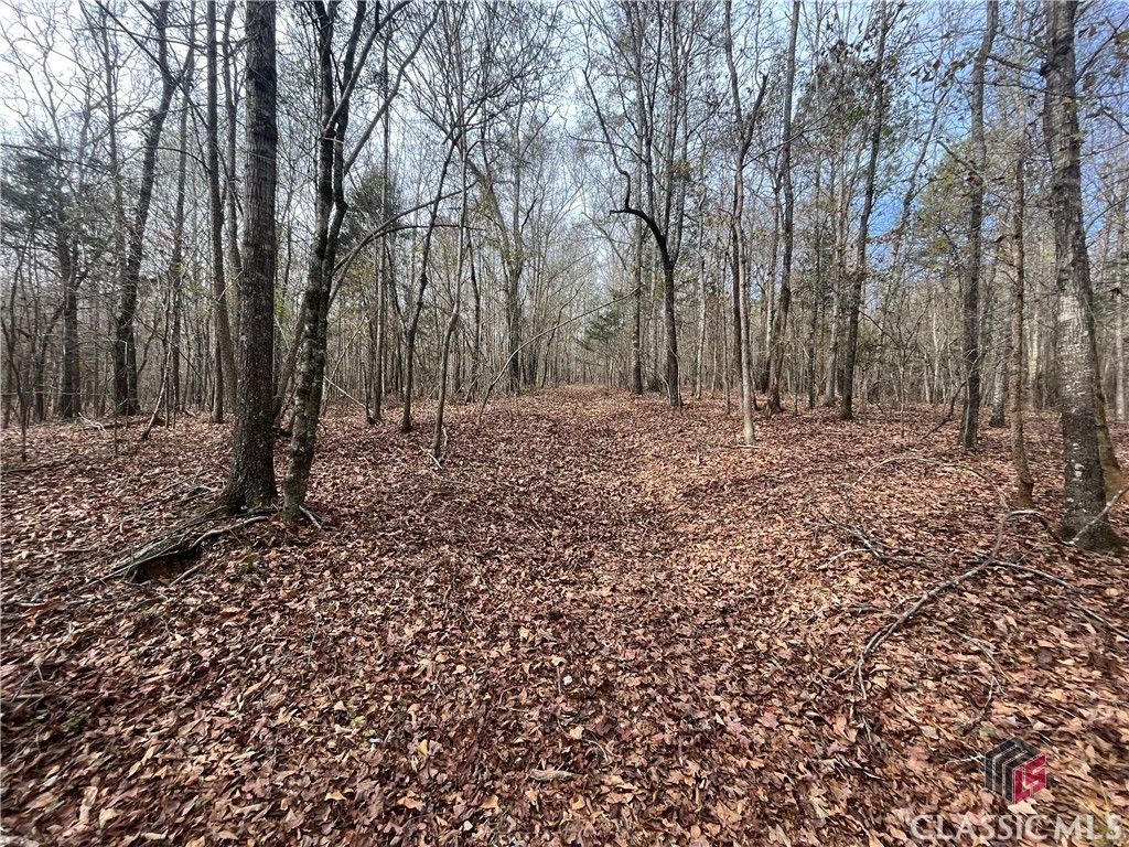 0 Nowhere Road Athens, GA 30601 - Photo 24 of 30