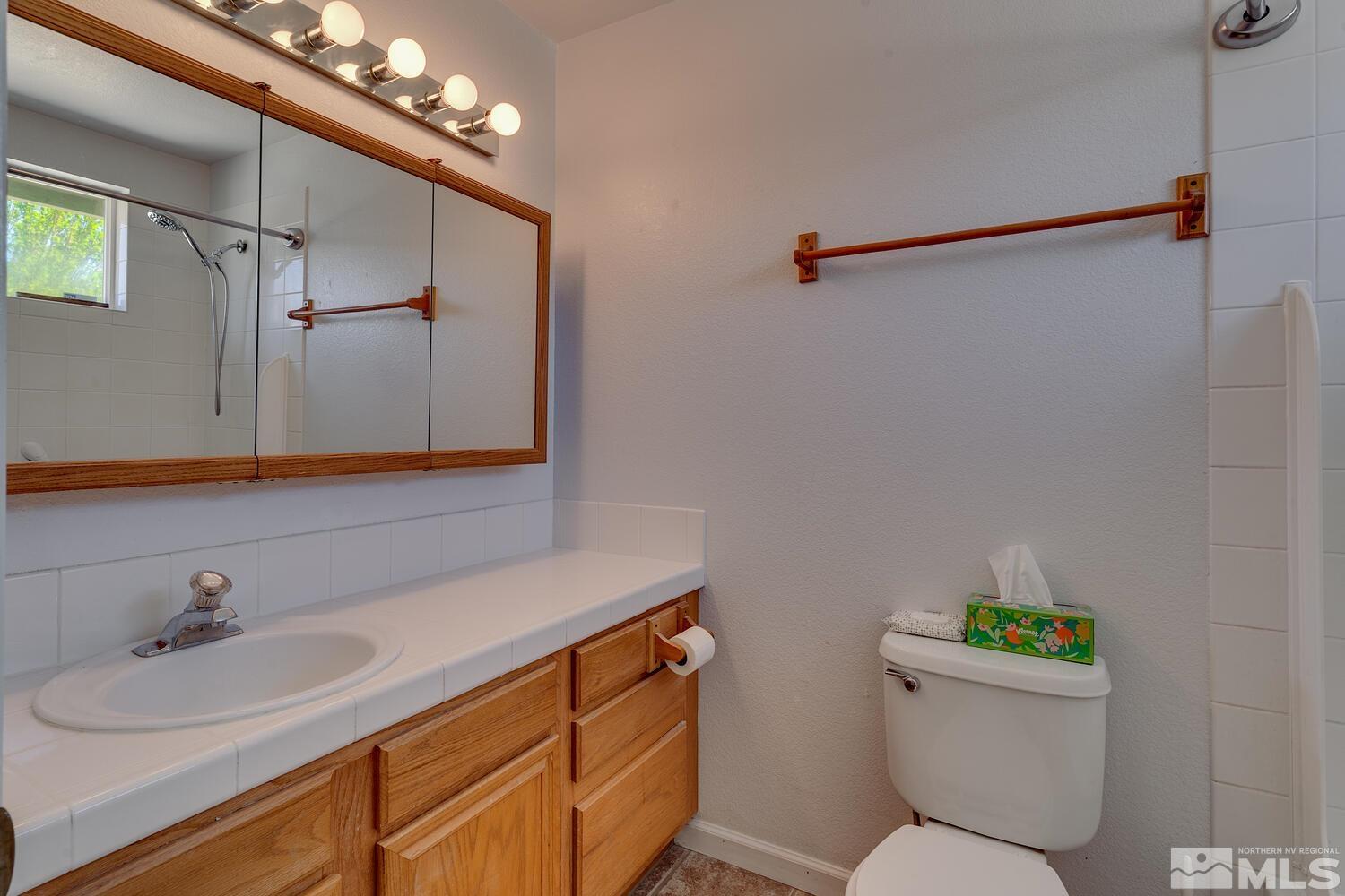 16015 Rocky Vista Road Reno, NV 89521 - Photo 11 of 20 a bathroom with a sink mirror vanity and toilet