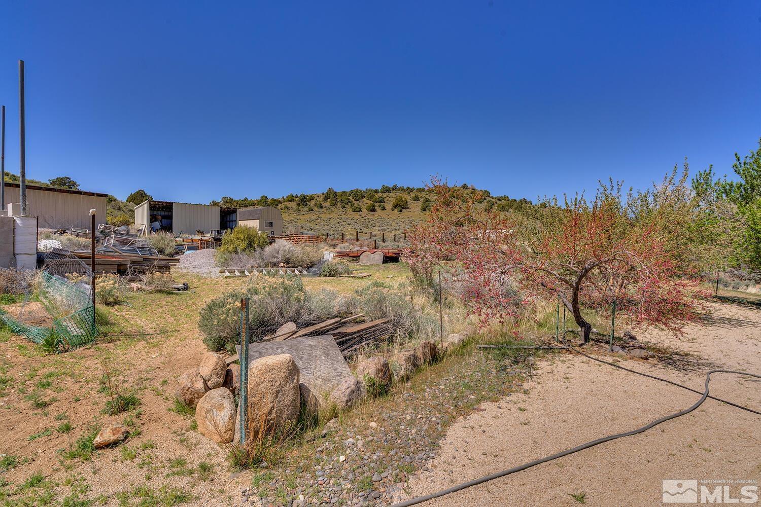16015 Rocky Vista Road Reno, NV 89521 - Photo 19 of 20 a view of a dry yard with lots of trees
