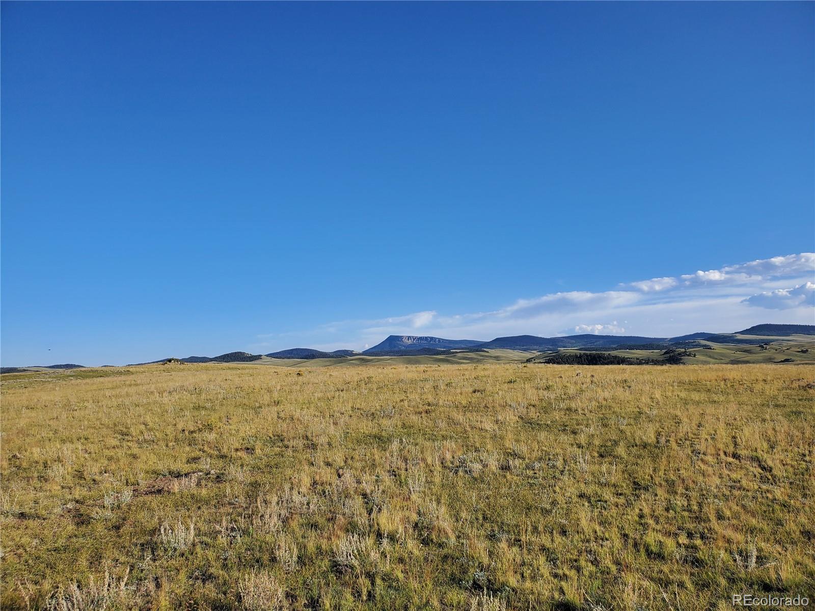 0 Uwon Road Hartsel, CO 80449 - Photo 5 of 10