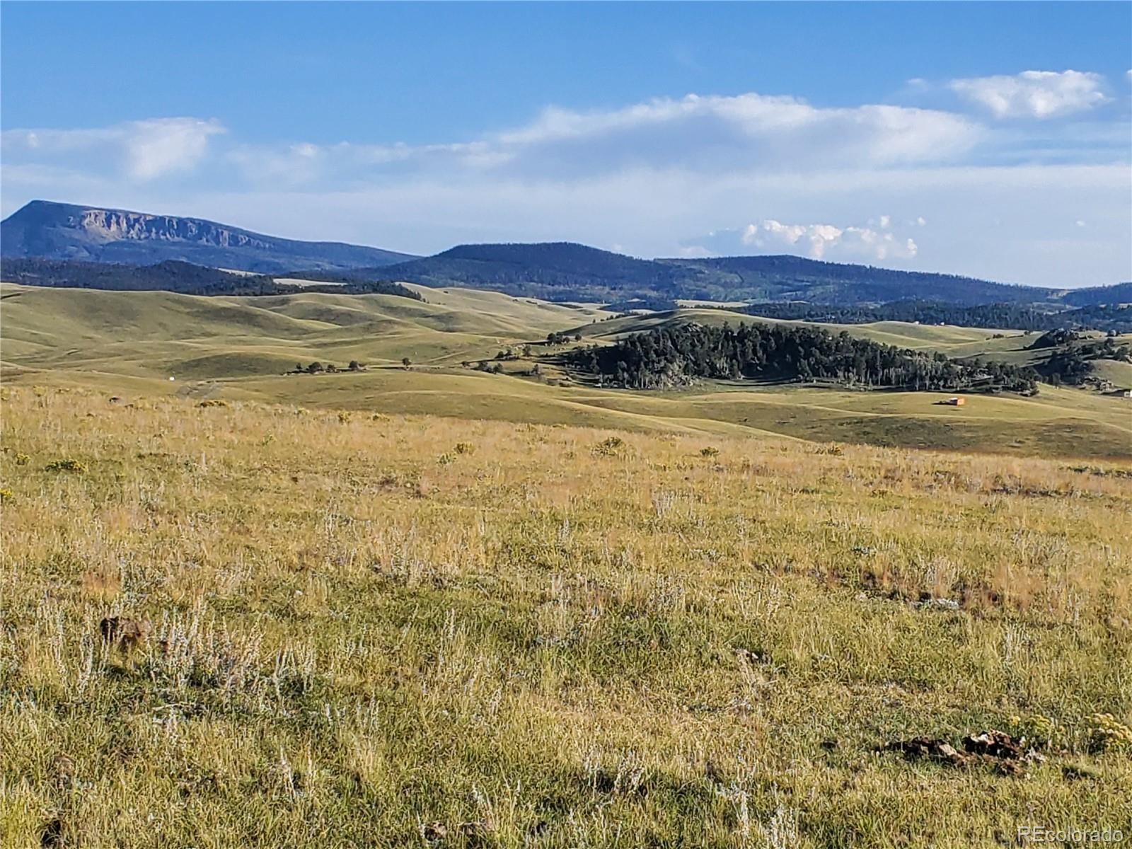 0 Uwon Road Hartsel, CO 80449 - Photo 9 of 10