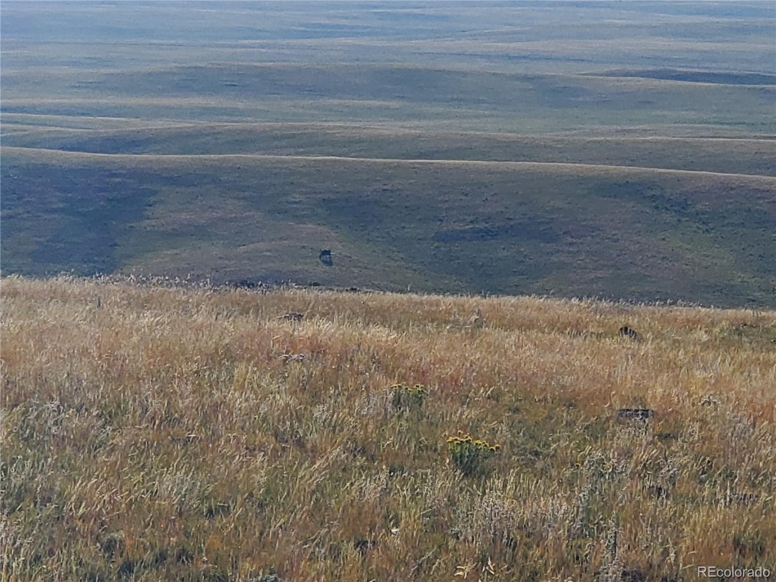 0 Uwon Road Hartsel, CO 80449 - Photo 10 of 10