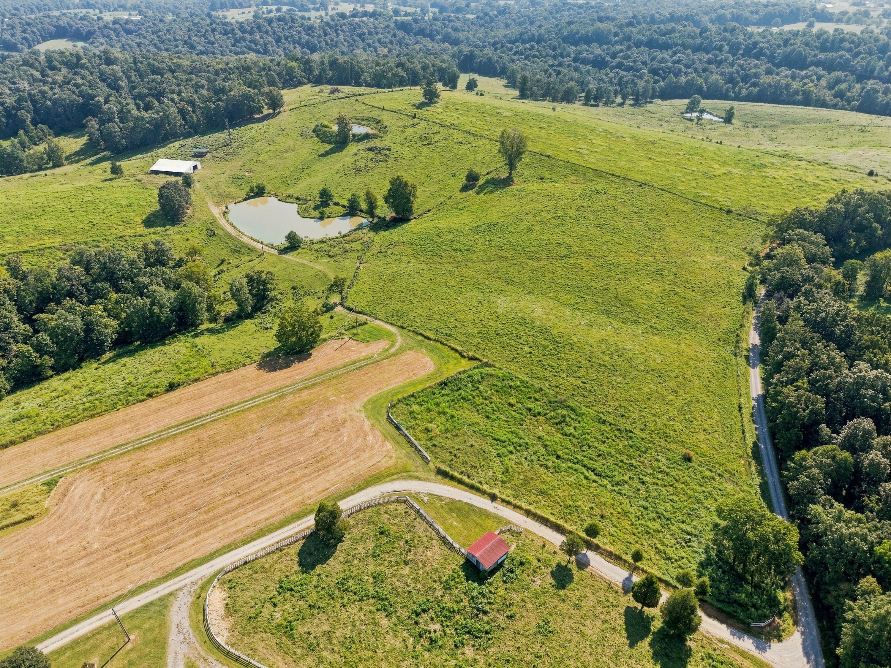 1340 Roe Wafford Road Marion, KY 42064 - Photo 69 of 81 1340RoeWafford_073