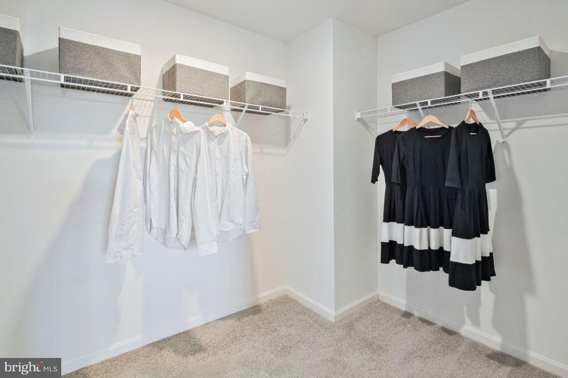 35676 Pine Needle Lane Locust Grove, VA 22508 - Photo 22 of 41