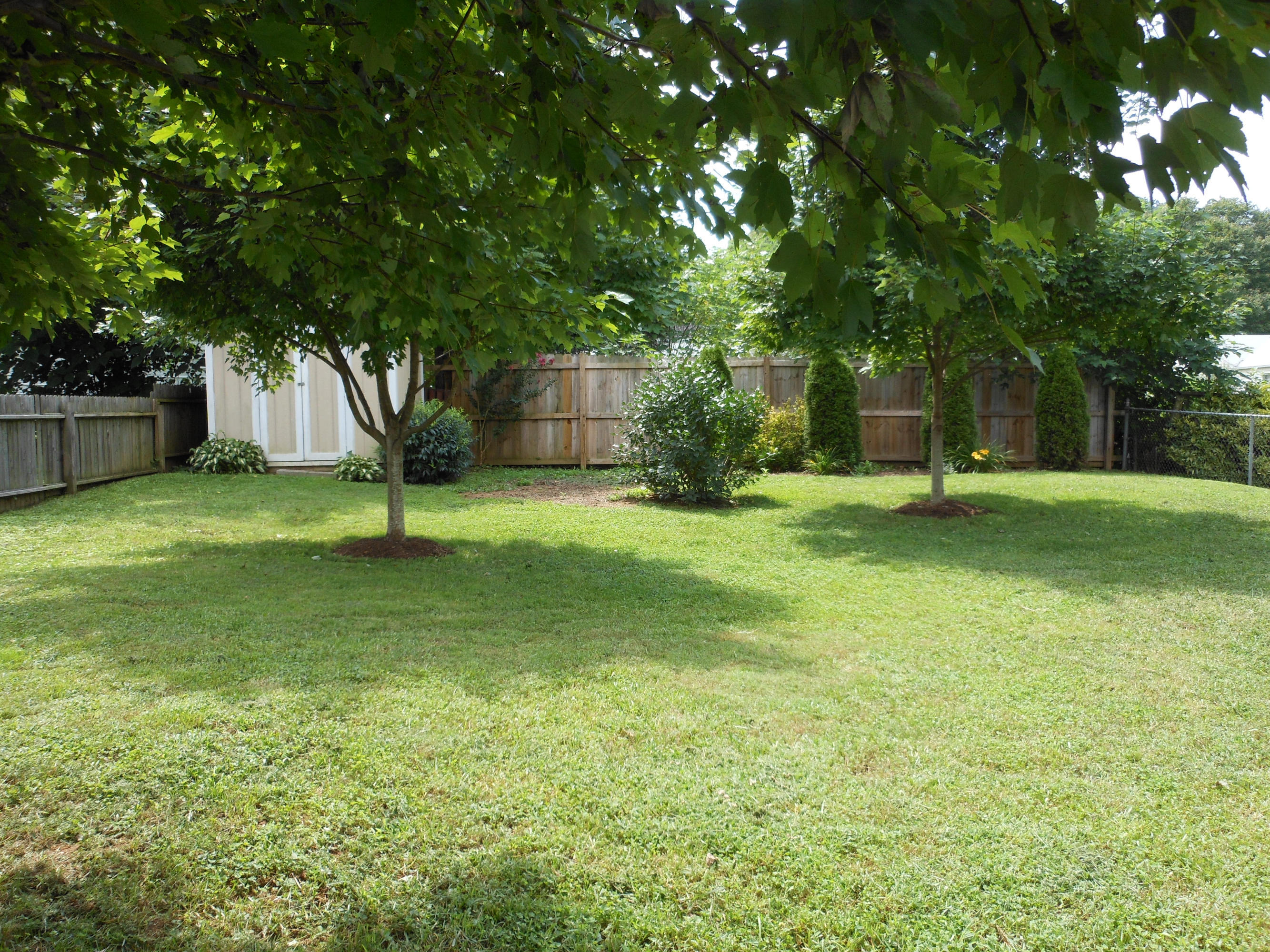 1027 Ray Road Southeast Roanoke, VA 24014 - Photo 18 of 20 Back Yard
