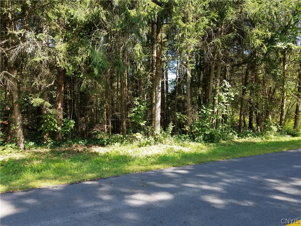 0 Daily Road Rome, NY 13440 - Photo 1 of 1