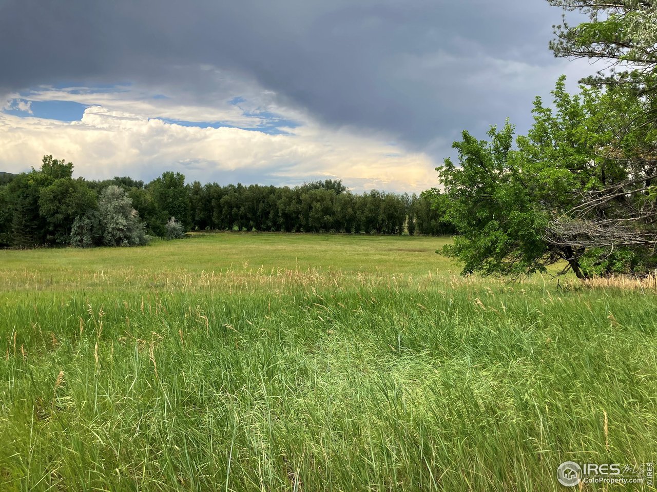 5273 Independence Road Boulder, CO 80301 - Photo 3 of 16 a view of a field with an trees
