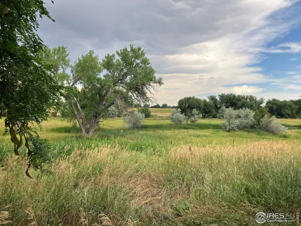 a view of a lake from a yard