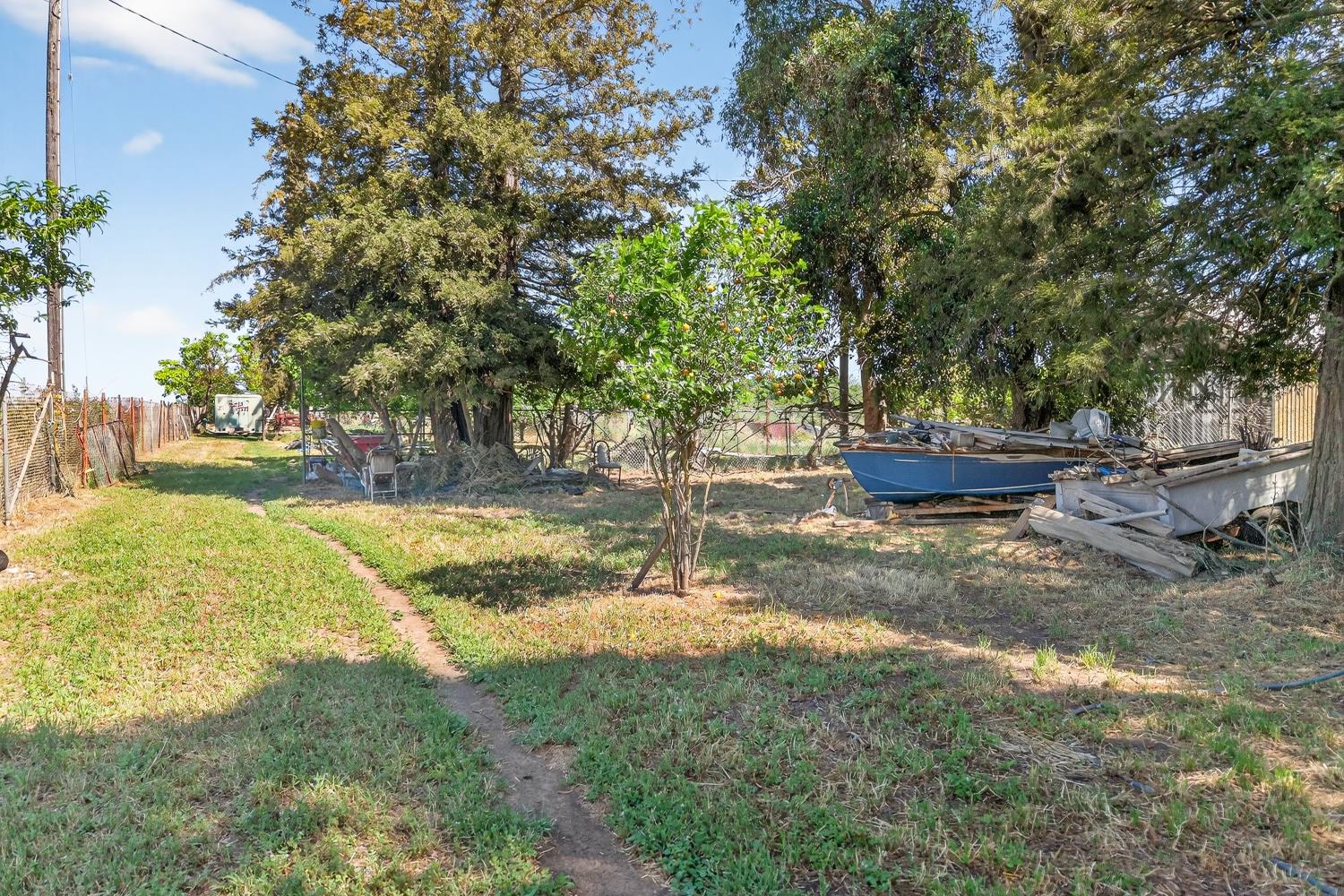 383 Taylor Road Lodi, CA 95242 - Photo 21 of 22 a view of a yard with plants