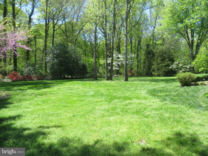 724 Iron Post Road Moorestown, NJ 08057 - Photo 22 of 25 Back Yard