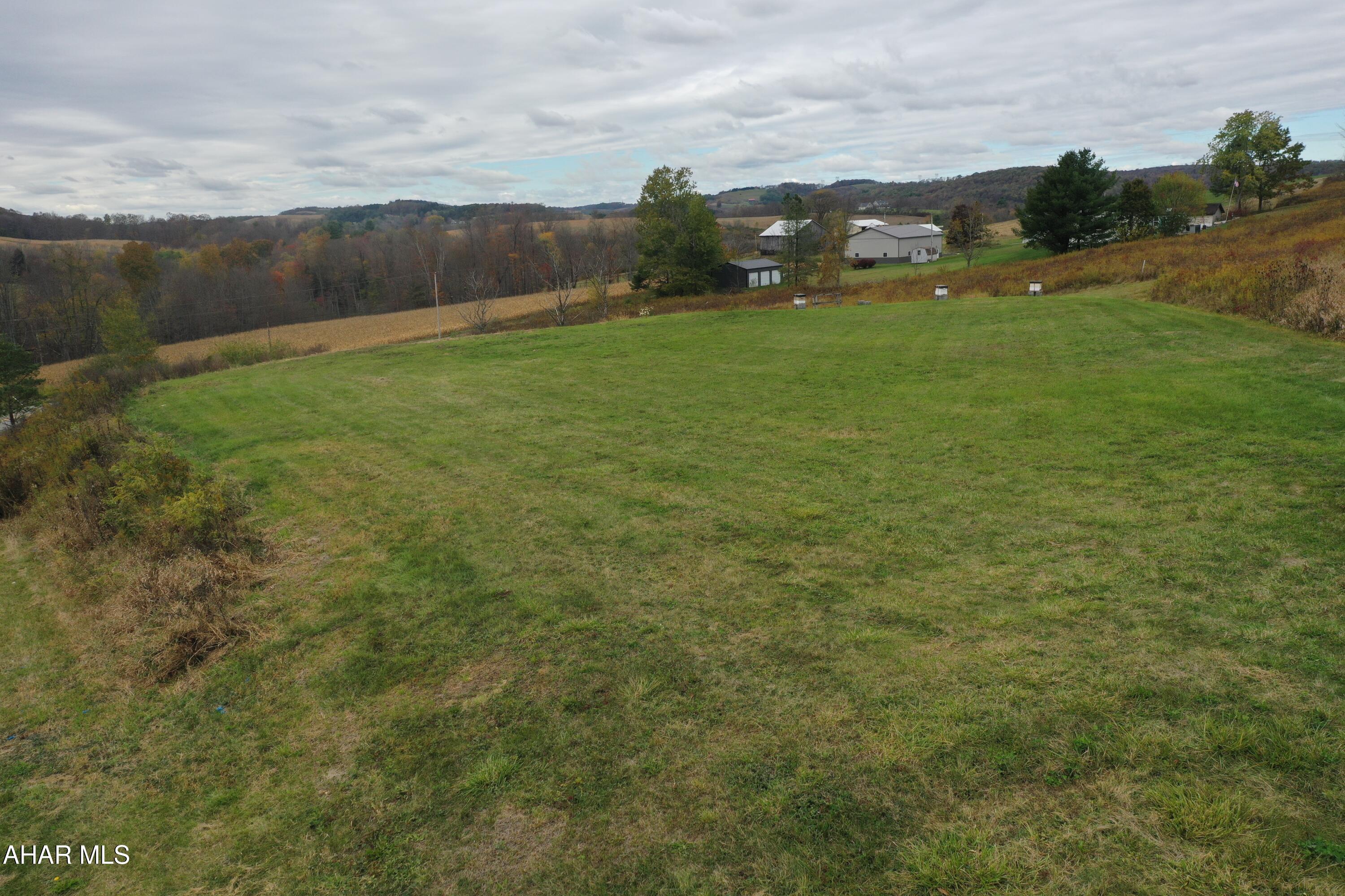 0 Dutch Road Loretto, PA 15940 - Photo 3 of 7