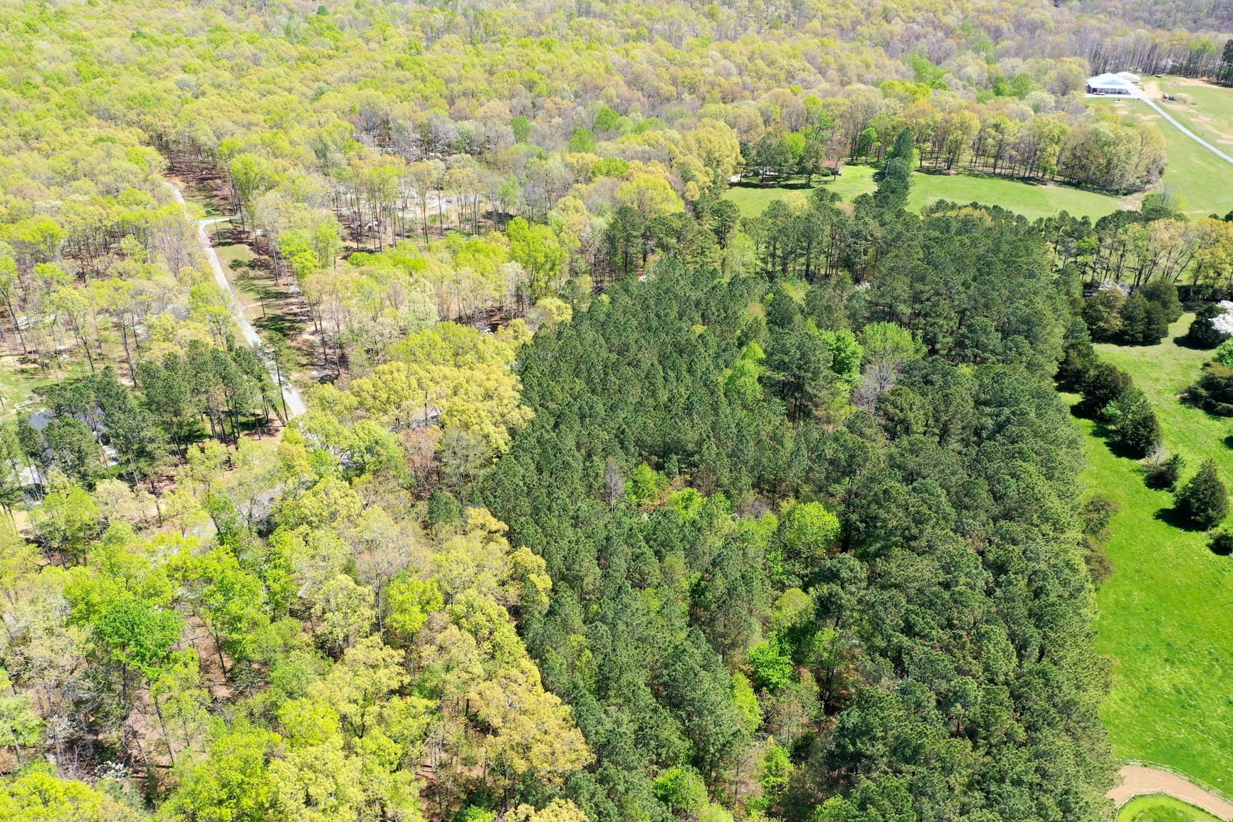 7211 Bahne Road Fairview, TN 37062 - Photo 11 of 21 a view of a big yard with plants and large trees