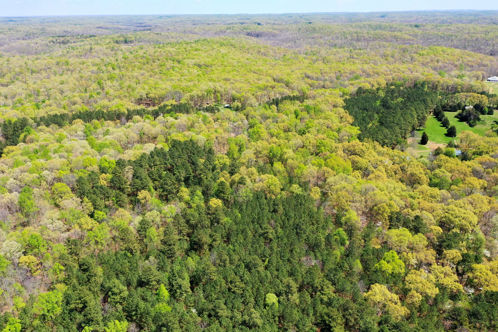 7211 Bahne Road Fairview, TN 37062 - Photo 13 of 21 a view of a field with an ocean view