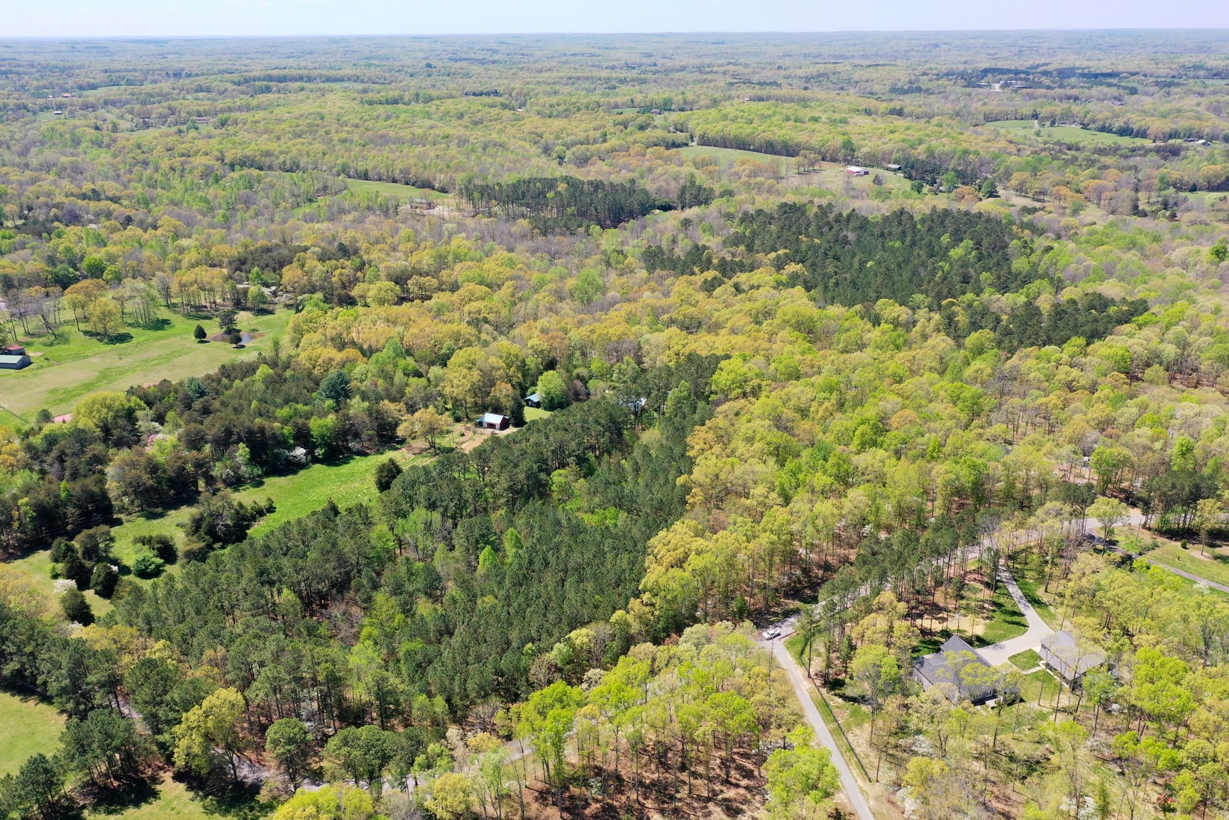 7211 Bahne Road Fairview, TN 37062 - Photo 14 of 21 a view of a field with a lush green forest