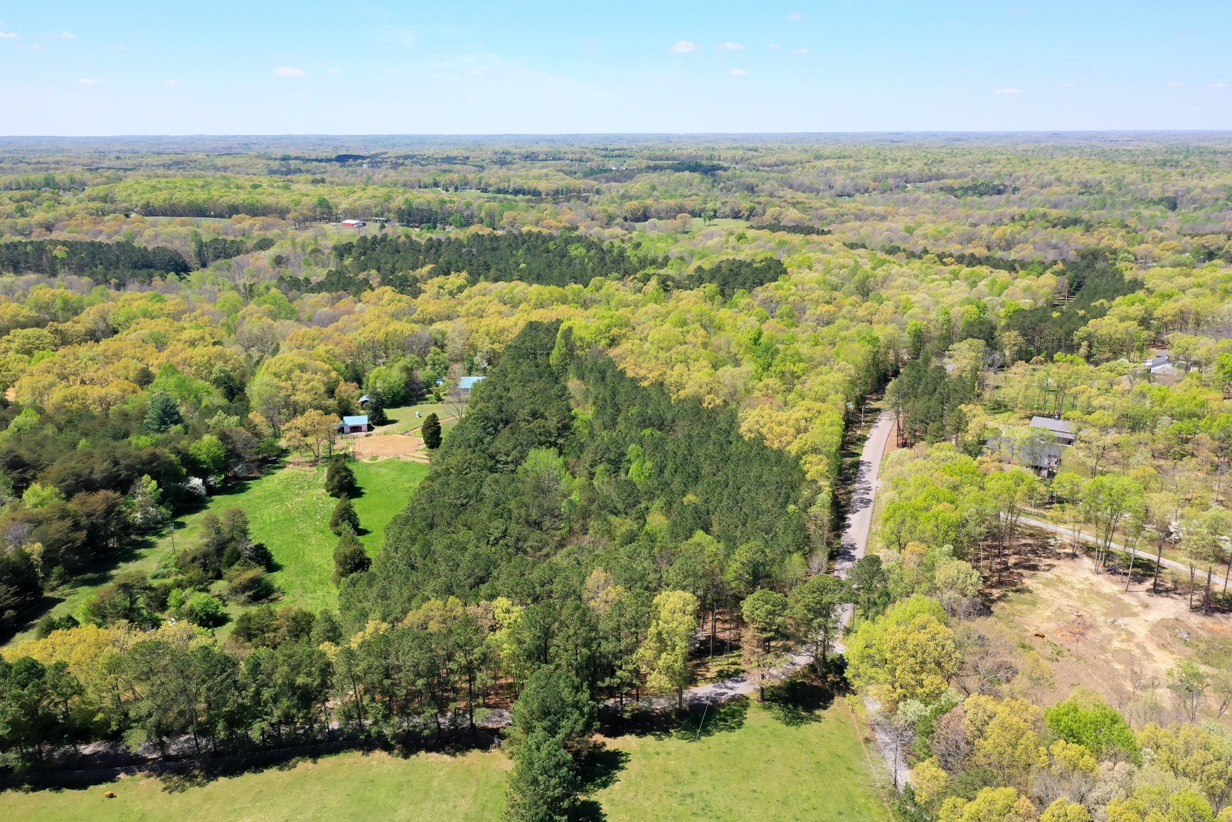 7211 Bahne Road Fairview, TN 37062 - Photo 15 of 21 an aerial view of residential houses with outdoor space and trees