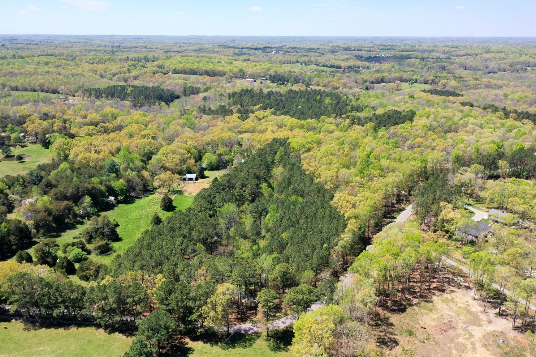 7211 Bahne Road Fairview, TN 37062 - Photo 16 of 21 a view of a field with an oven