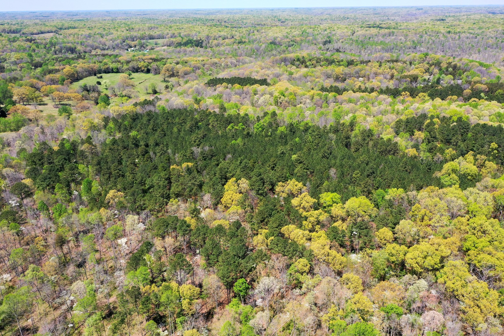 7211 Bahne Road Fairview, TN 37062 - Photo 17 of 21 an aerial view of residential houses with outdoor space and trees