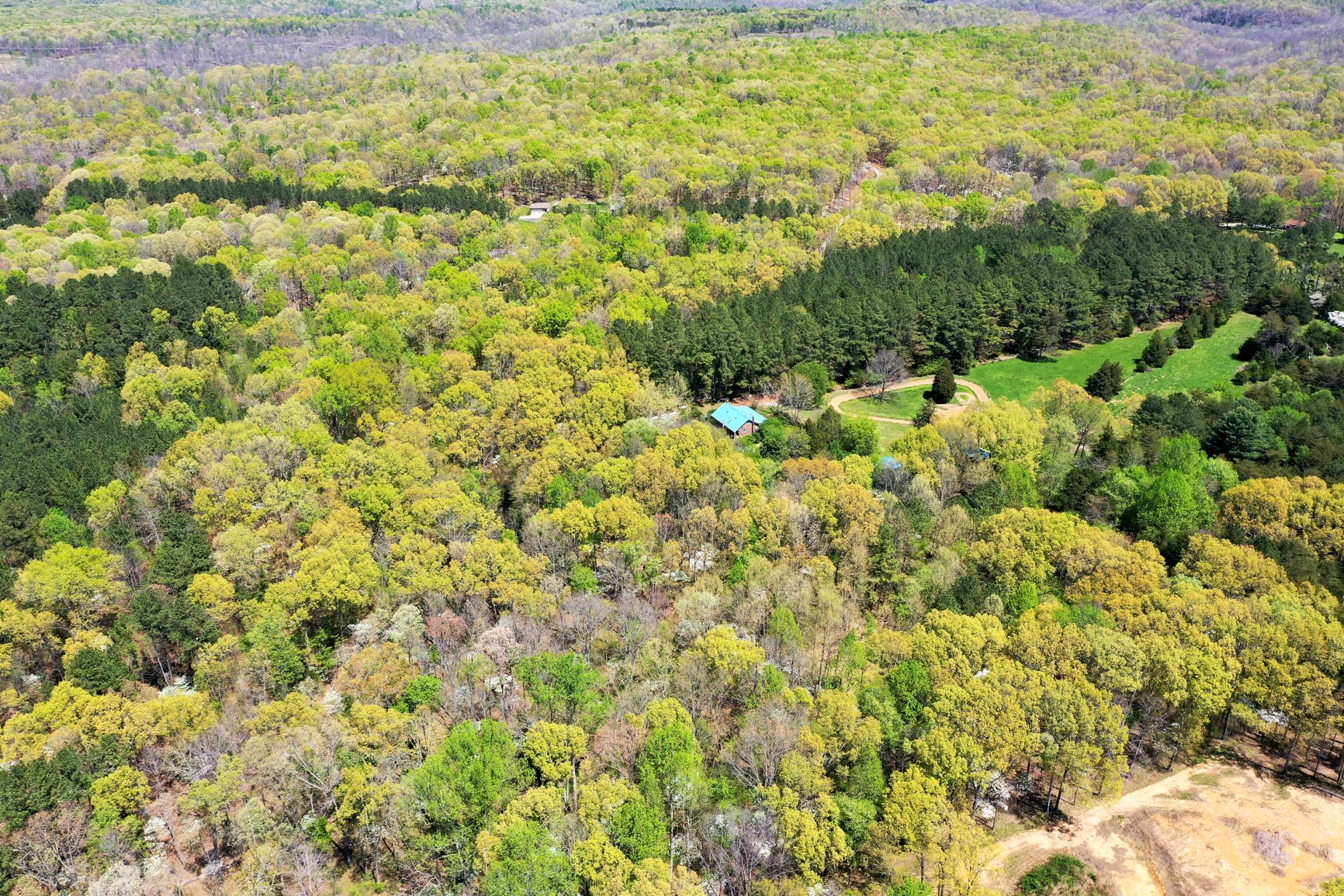 7211 Bahne Road Fairview, TN 37062 - Photo 18 of 21 a view of a bunch of trees and bushes