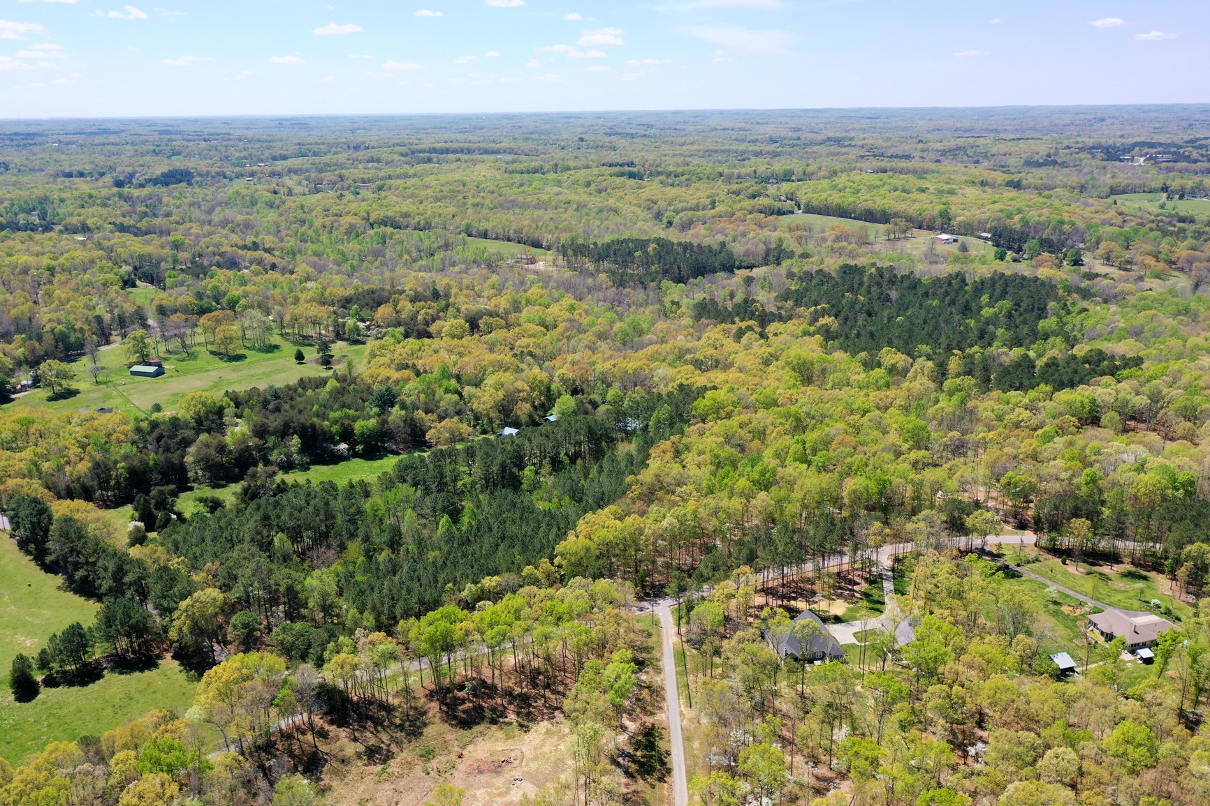 7211 Bahne Road Fairview, TN 37062 - Photo 21 of 21 a view of a city with lush green forest