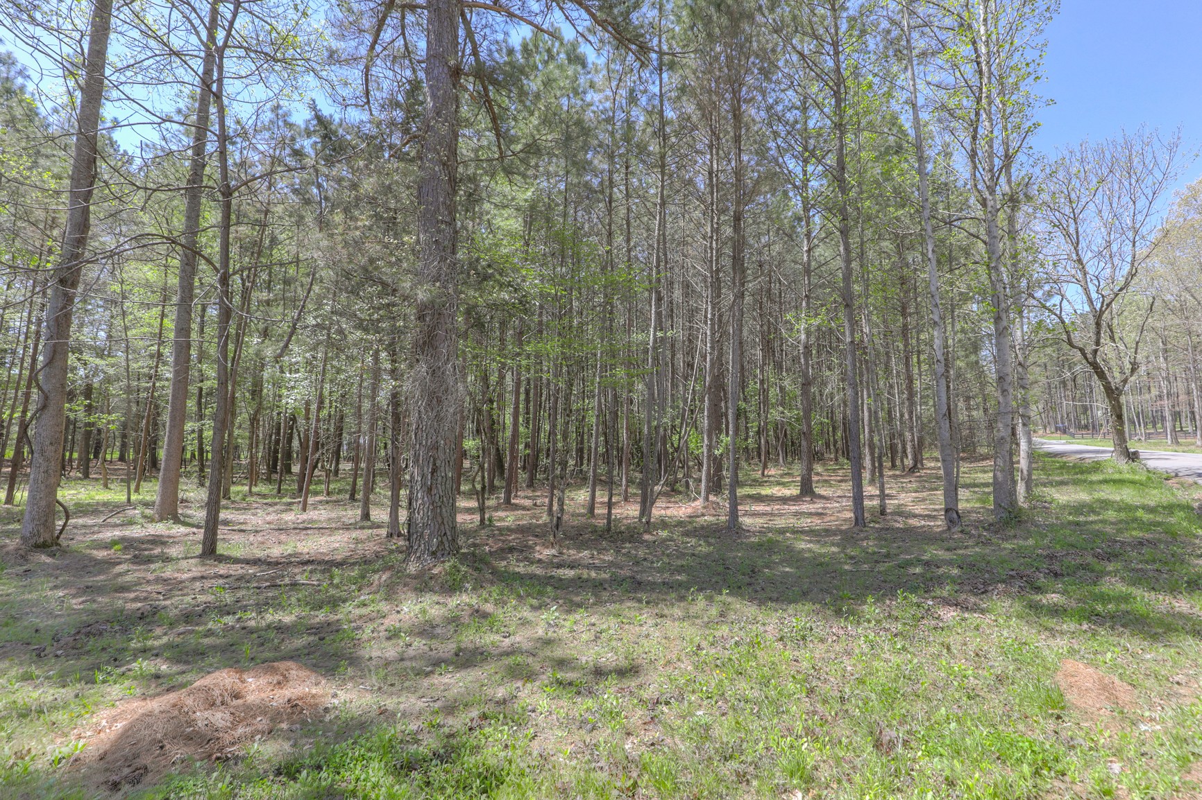 7211 Bahne Road Fairview, TN 37062 - Photo 6 of 21 a view of outdoor space with trees
