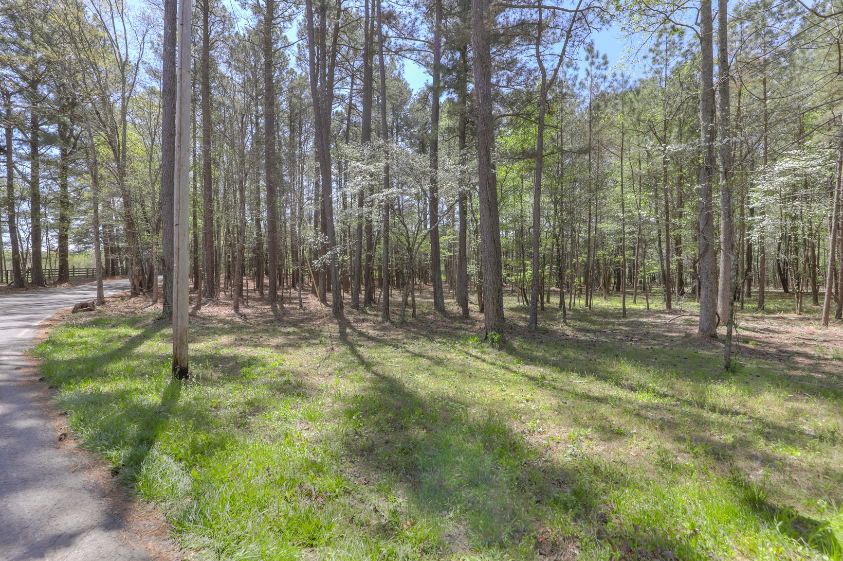 7211 Bahne Road Fairview, TN 37062 - Photo 7 of 21 a view of outdoor space with trees