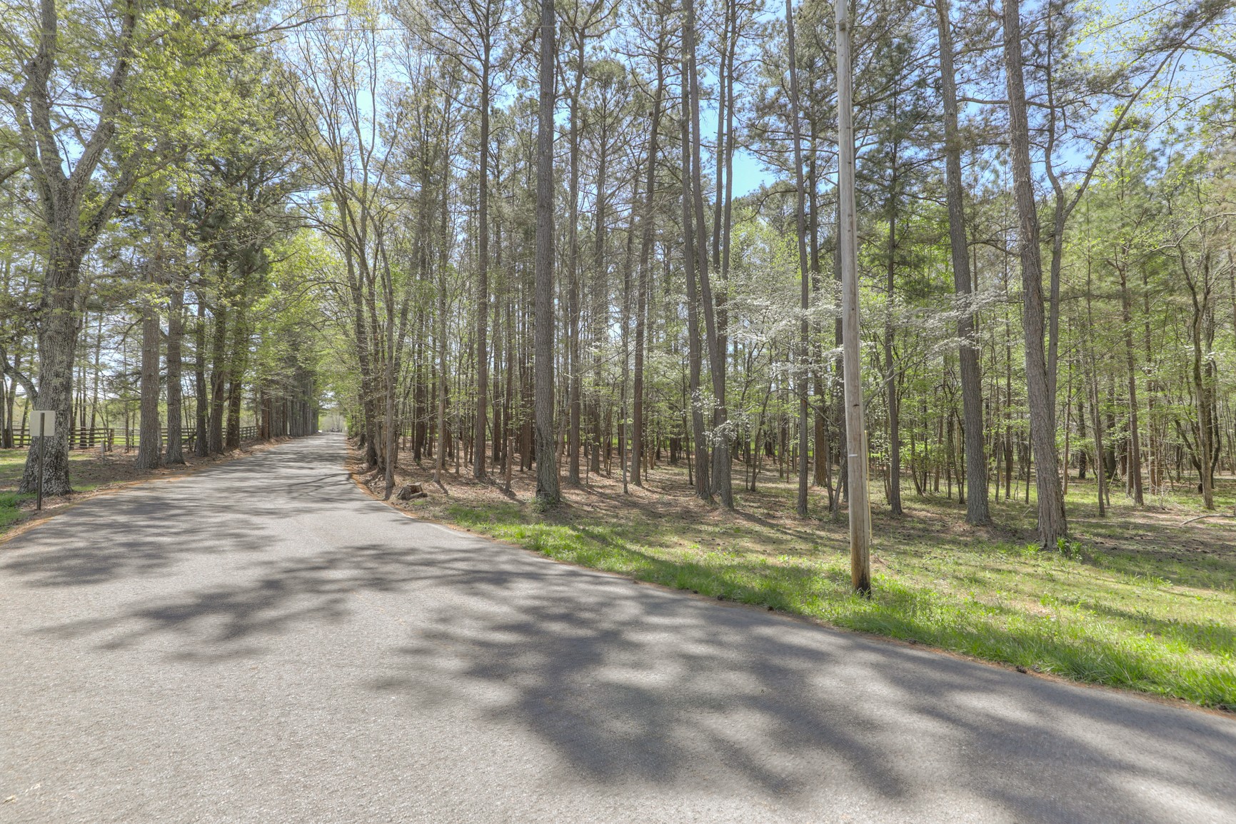 7211 Bahne Road Fairview, TN 37062 - Photo 8 of 21 a backyard of a house with lots of green space