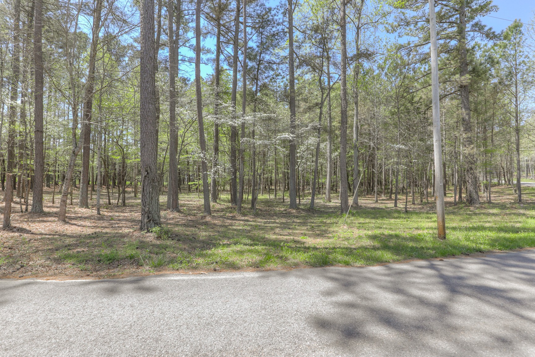 7211 Bahne Road Fairview, TN 37062 - Photo 10 of 21 a view of a park with large trees