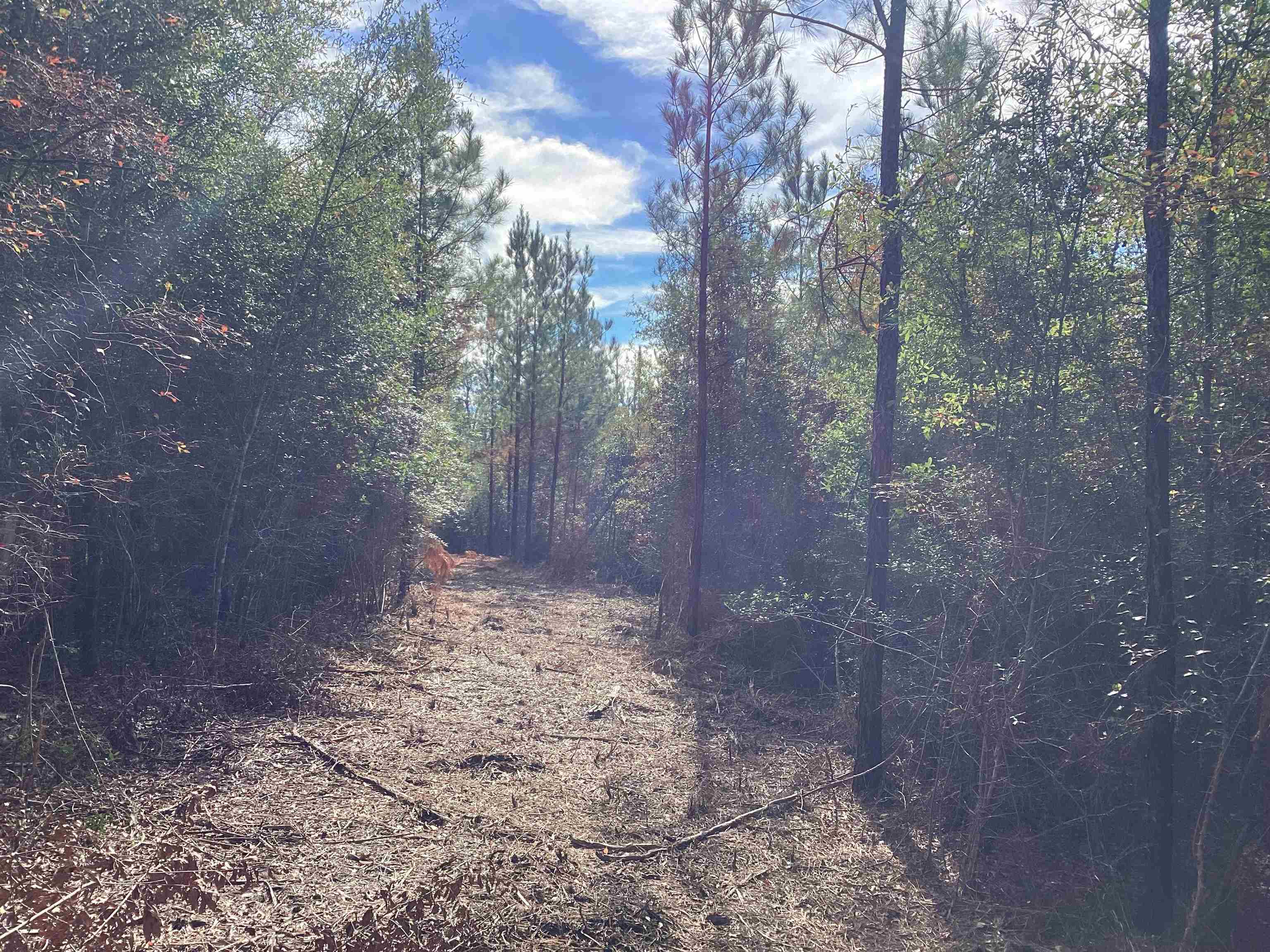 45 Judge Smith Road Andalusia, AL 36421 - Photo 3 of 12 Gallery Image 3
