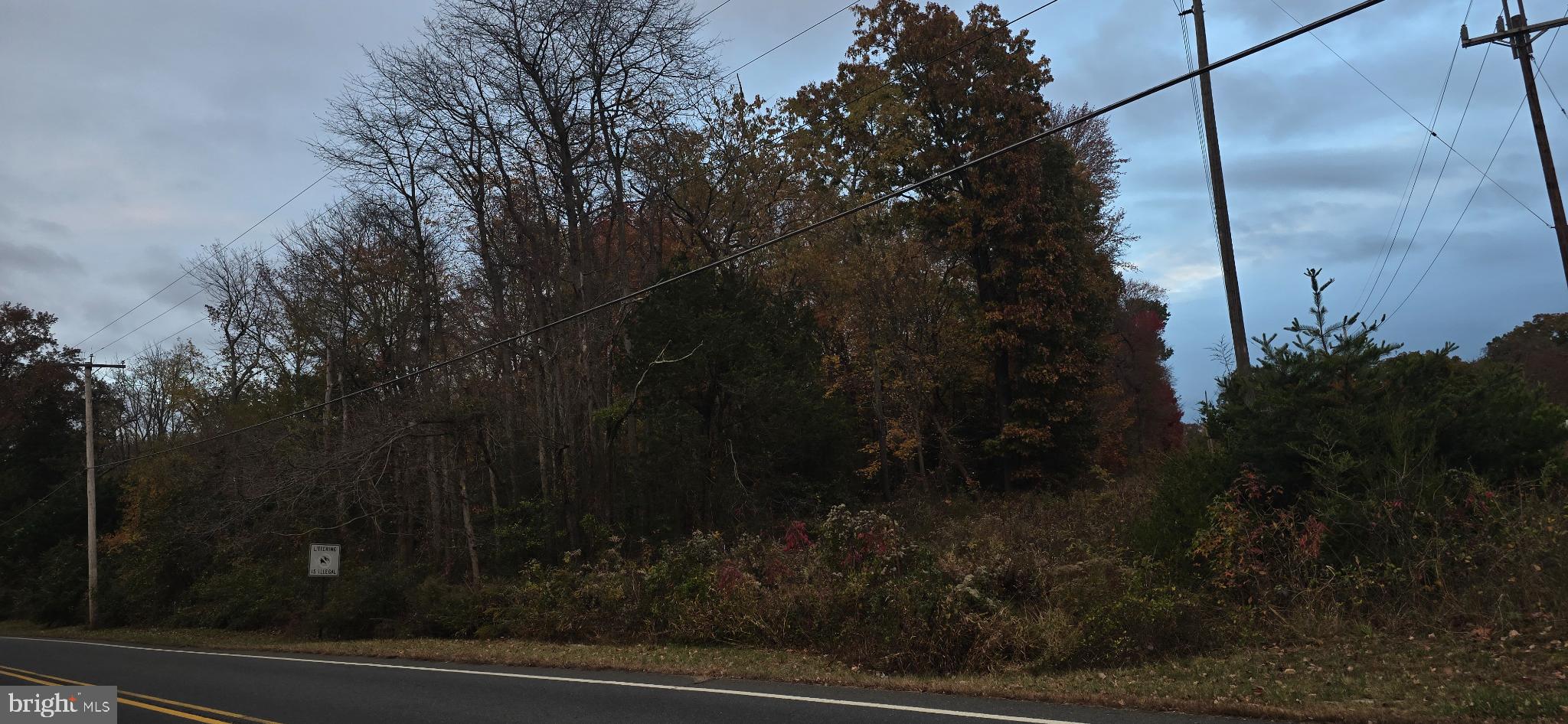301 Meany Road Wrightstown, NJ 08562 - Photo 2 of 6 a view of a yard from a window