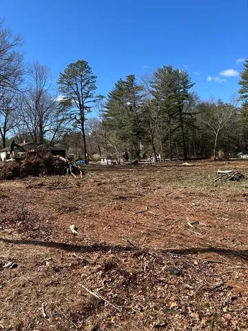 a view of dirt yard with a large tree