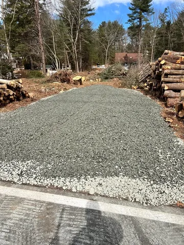 a view of a park with large trees