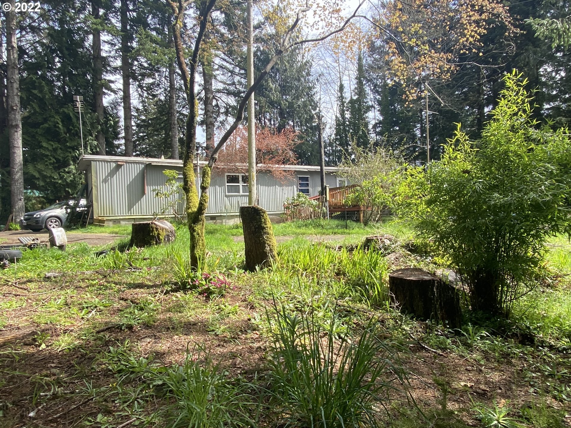 5089 Mitchell Loop Road Florence, OR 97439 - Photo 2 of 20 Gallery Image 2