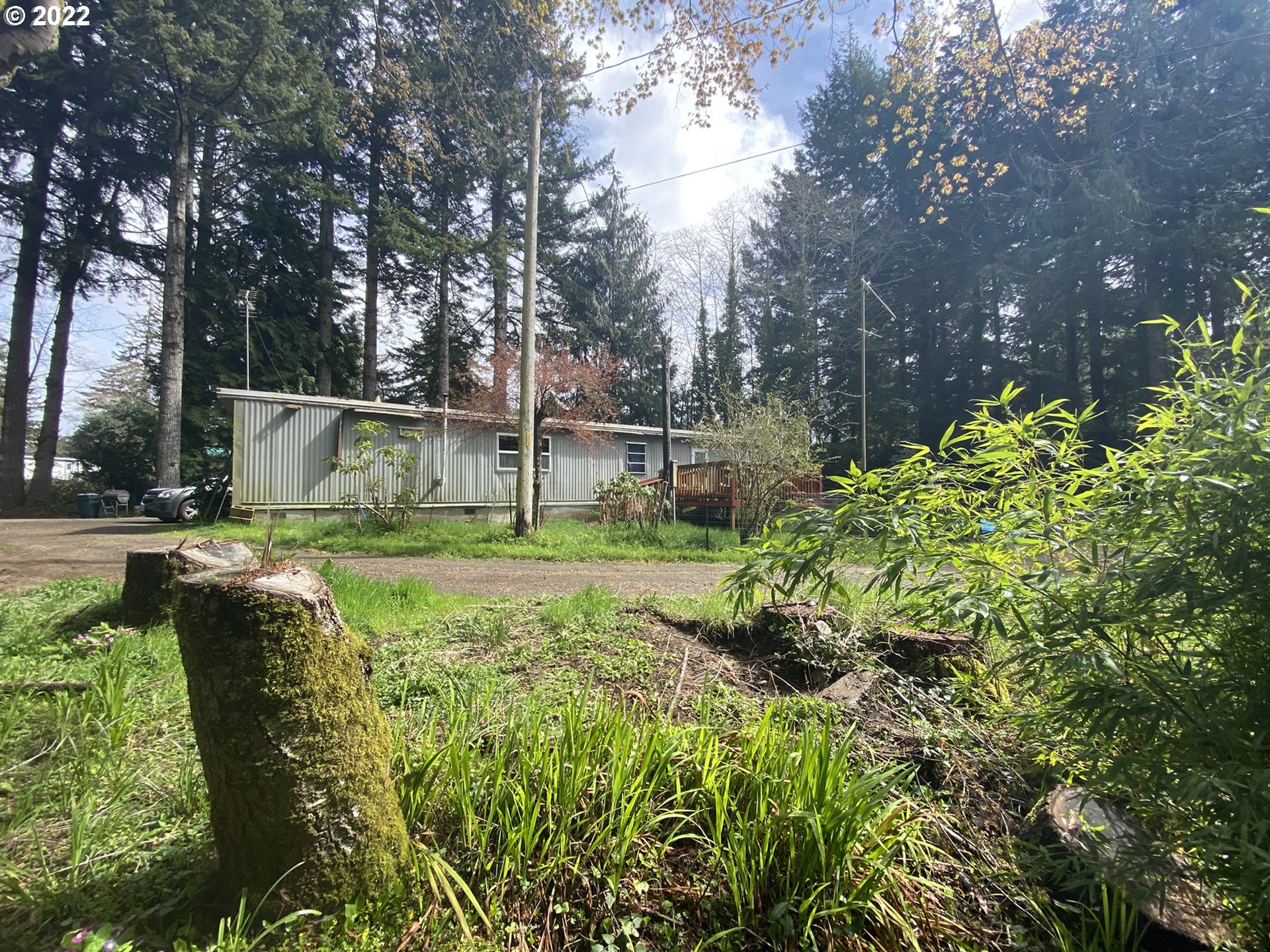 5089 Mitchell Loop Road Florence, OR 97439 - Photo 4 of 20 Gallery Image 4