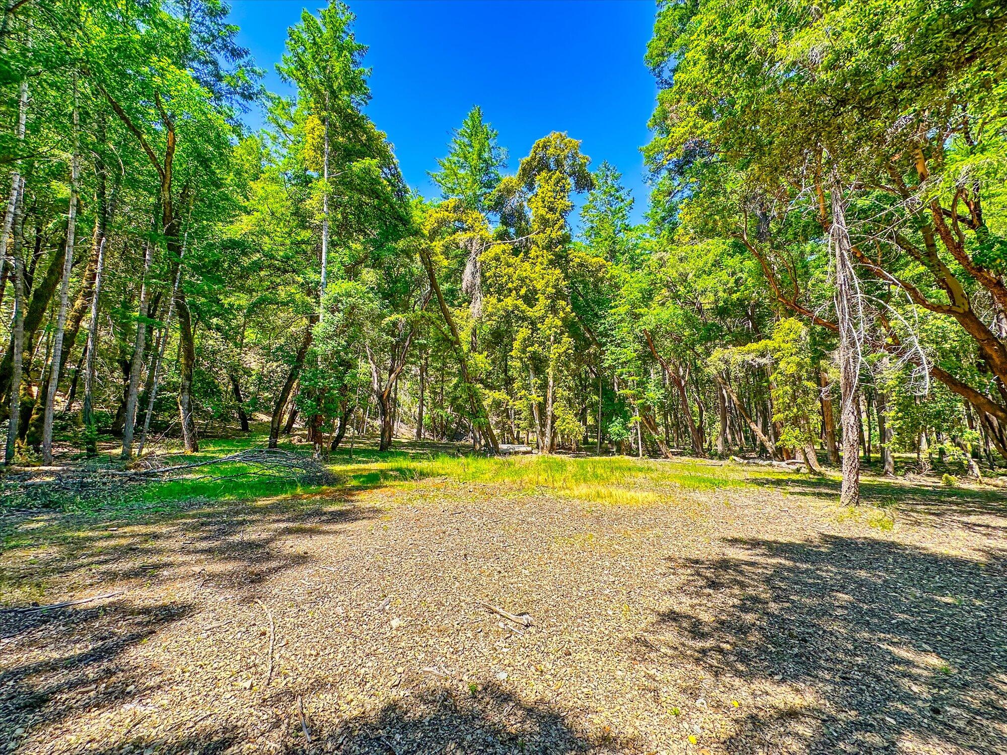 6099 Forest Rte 06n06, Unit NONE Salyer, CA 95563 - Photo 46 of 59