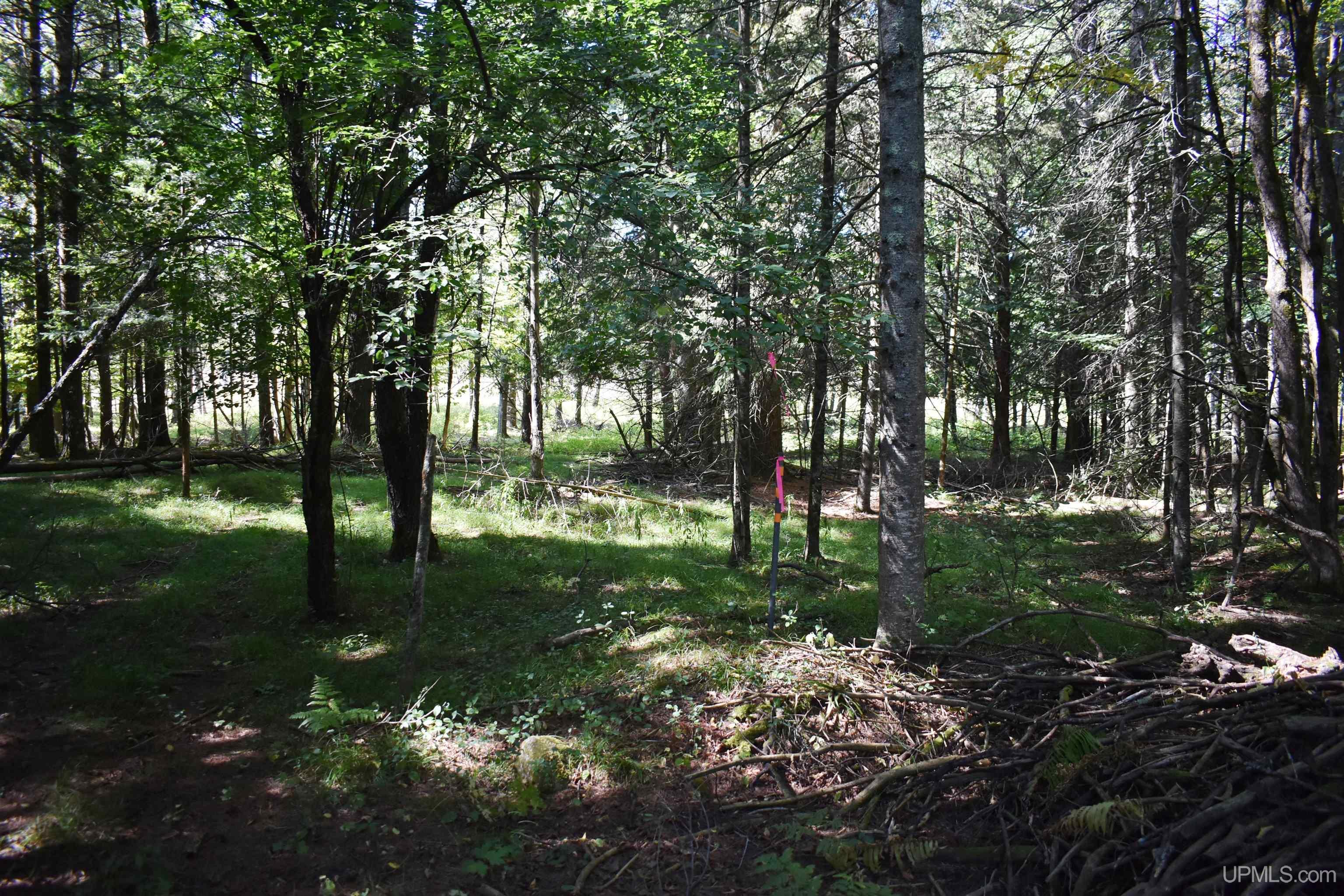 10639 South 75 Road Rapid River, MI 49878 - Photo 9 of 38 Gallery Image 9