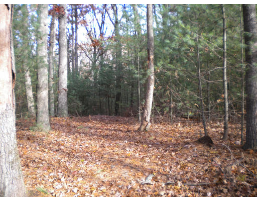 22 Gould Road Andover, MA 01810 - Photo 1 of 1 a backyard of a house with lots of green space