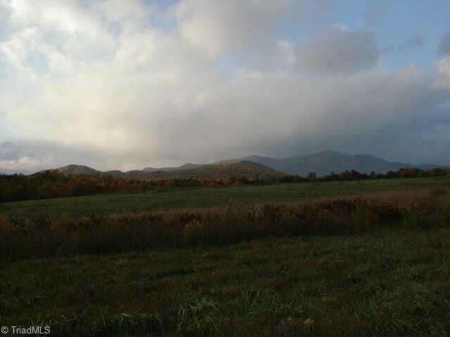 0 Leroy Gillespie Road, Unit D Lowgap, NC 27024 - Photo 2 of 4 Other.