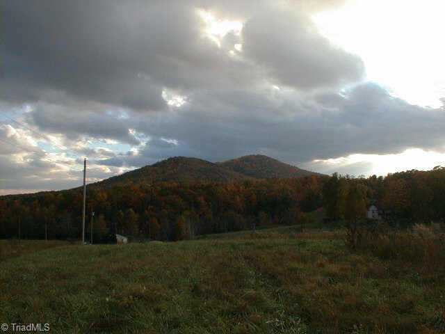 0 Leroy Gillespie Road, Unit D Lowgap, NC 27024 - Photo 4 of 4 Other.